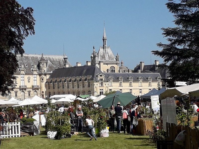 13-14-15  Mai : Domaine de Chantilly (60), Journée des plantes de Chantilly "